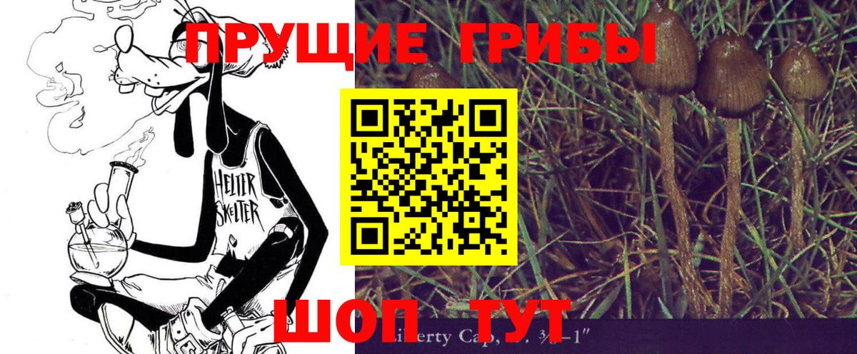 Псилоцибиновые грибы Psilocybine cubensis  Вход с VPN  Бугуруслан 